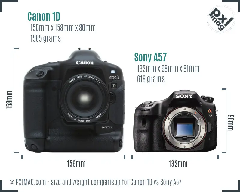 Canon 1D vs Sony A57 size comparison