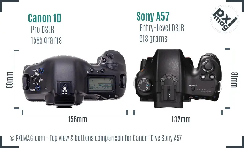 Canon 1D vs Sony A57 top view buttons comparison