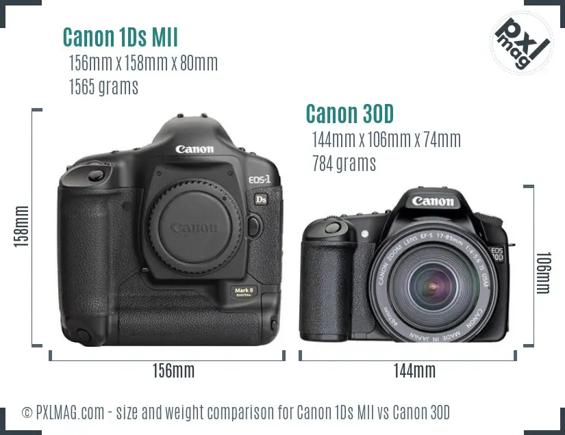Canon 1Ds MII vs Canon 30D size comparison Canon 1Ds MII vs Canon 30D size comparison