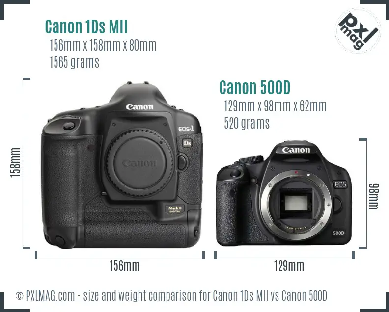 Canon 1Ds MII vs Canon 500D size comparison