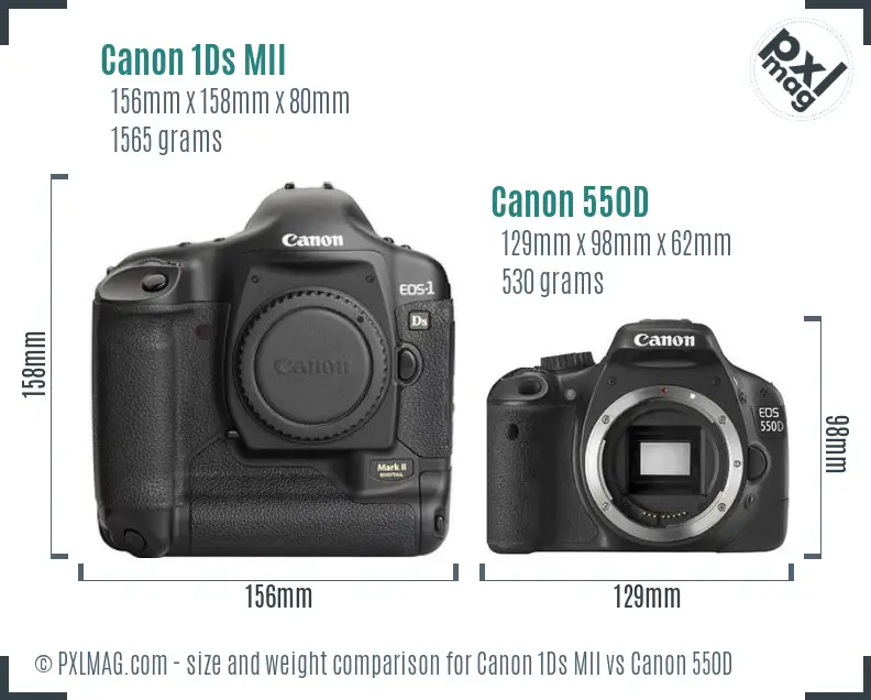 Canon 1Ds MII vs Canon 550D size comparison Canon 1Ds MII vs Canon 550D size comparison