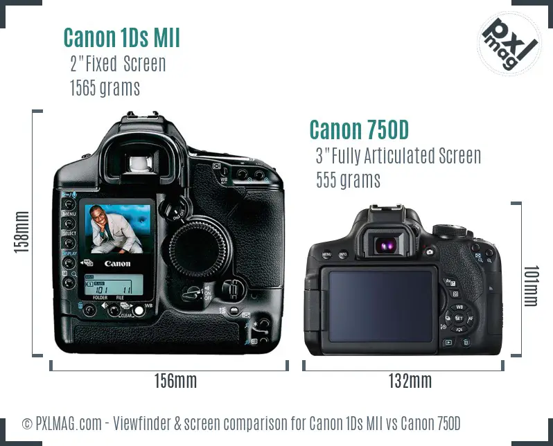Canon 1Ds MII vs Canon 750D Screen and Viewfinder comparison