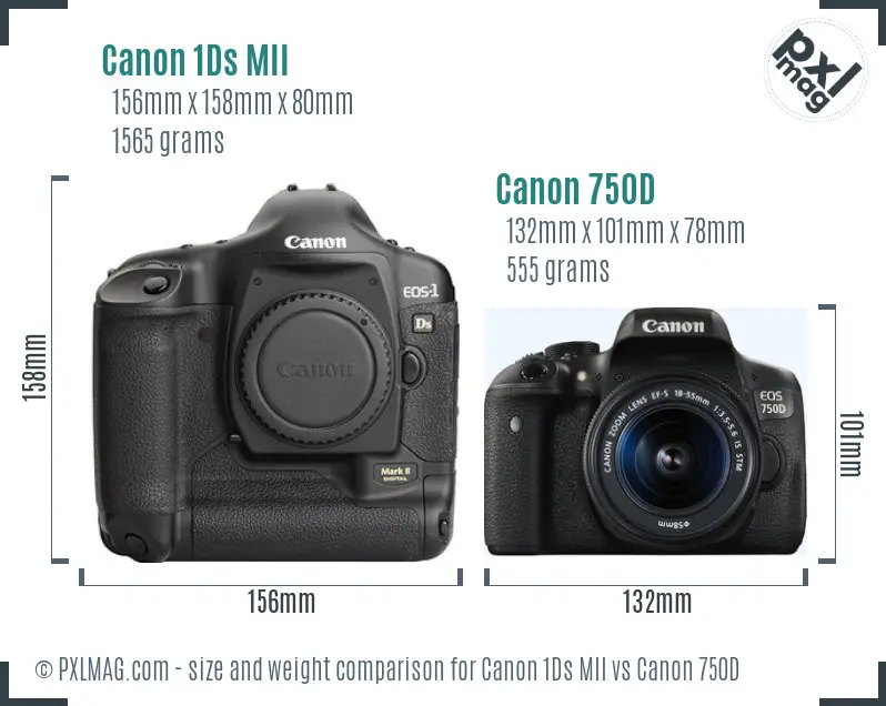 Canon 1Ds MII vs Canon 750D size comparison