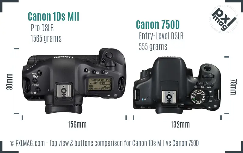 Canon 1Ds MII vs Canon 750D top view buttons comparison