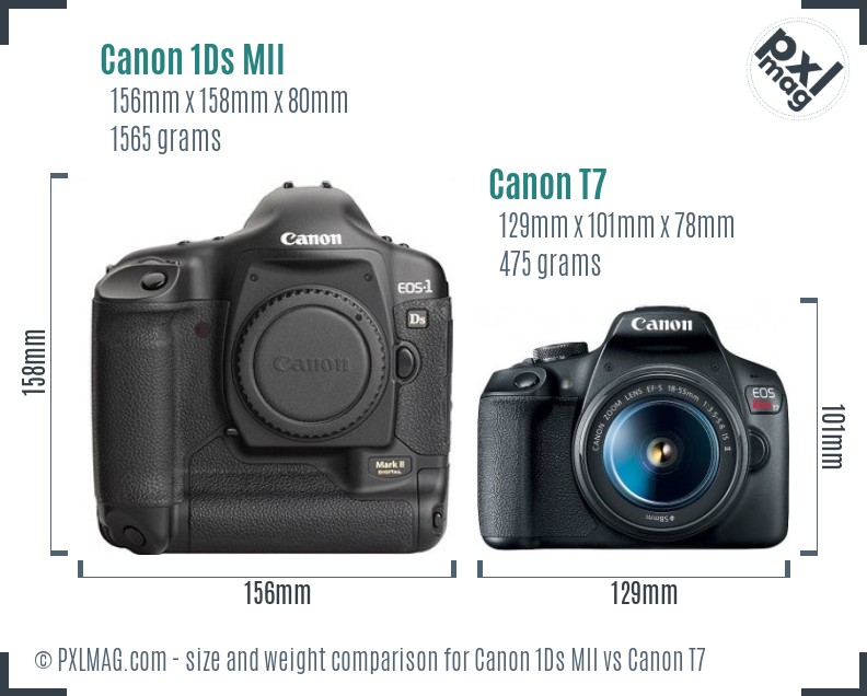 Canon 1Ds MII vs Canon T7 size comparison