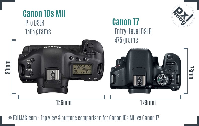 Canon 1Ds MII vs Canon T7 top view buttons comparison