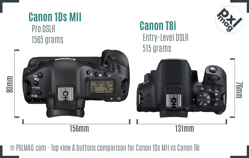 Canon 1Ds MII vs Canon T8i top view buttons comparison Canon 1Ds MII vs Canon T8i top view buttons comparison