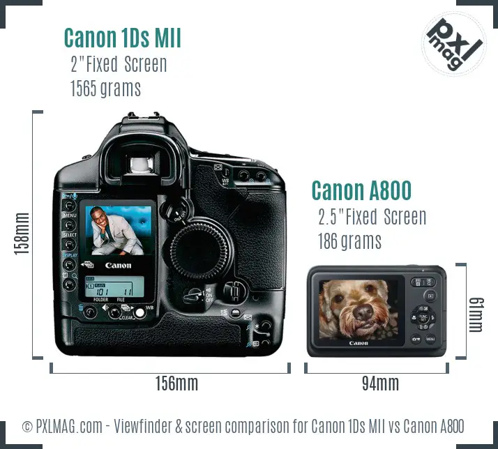 Canon 1Ds MII vs Canon A800 Screen and Viewfinder comparison