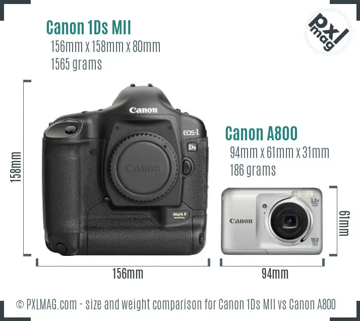 Canon 1Ds MII vs Canon A800 size comparison