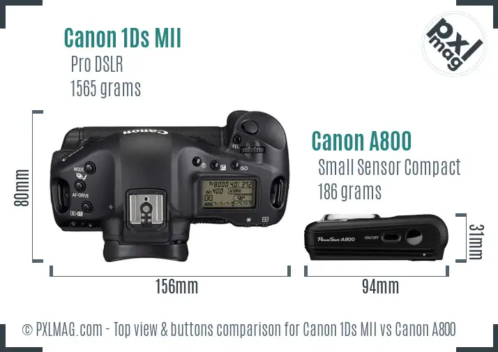 Canon 1Ds MII vs Canon A800 top view buttons comparison