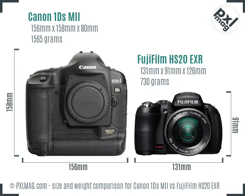 Canon 1Ds MII vs FujiFilm HS20 EXR size comparison
