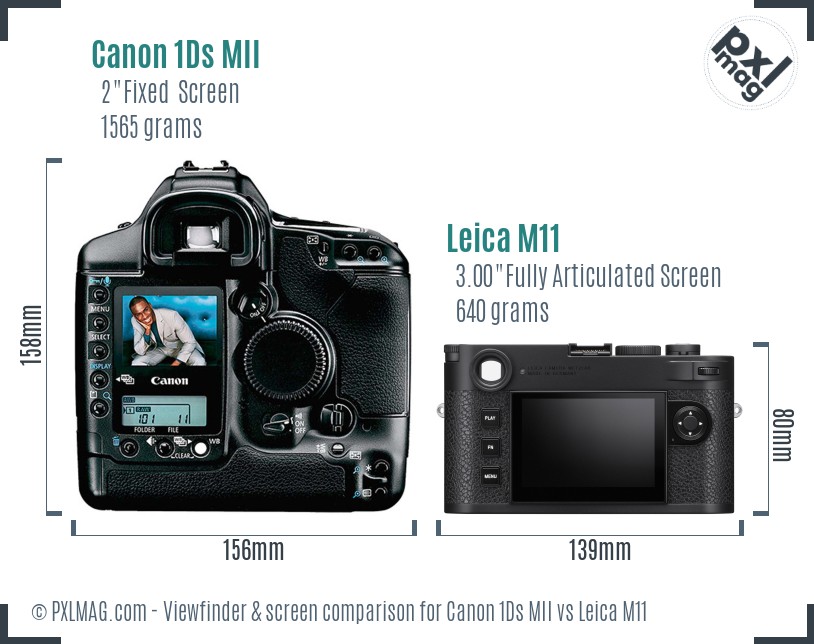 Canon 1Ds MII vs Leica M11 Screen and Viewfinder comparison