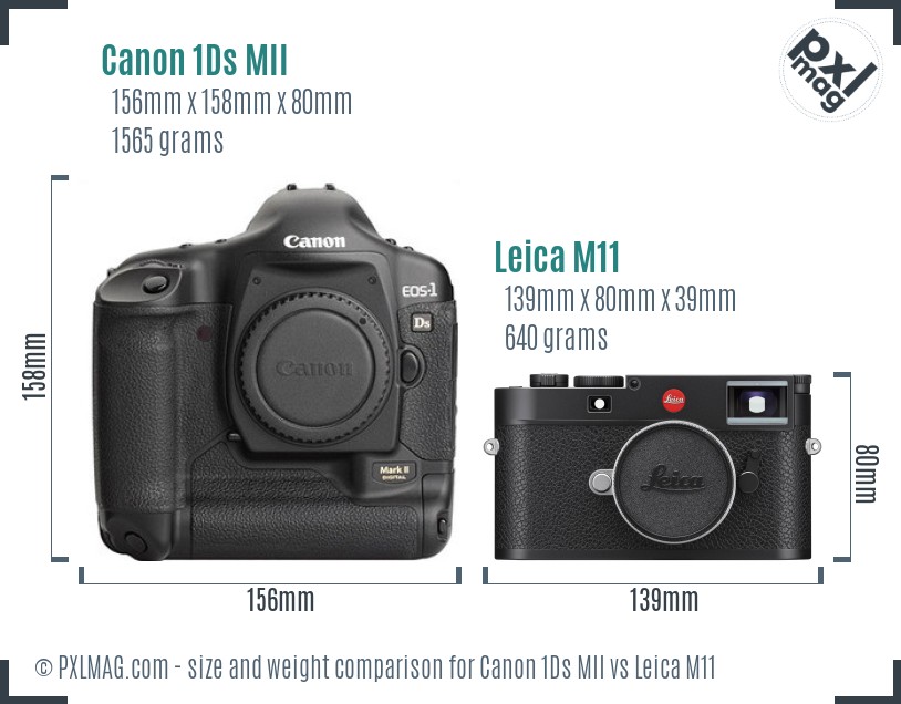 Canon 1Ds MII vs Leica M11 size comparison Canon 1Ds MII vs Leica M11 size comparison