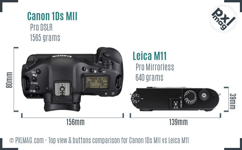 Canon 1Ds MII vs Leica M11 top view buttons comparison