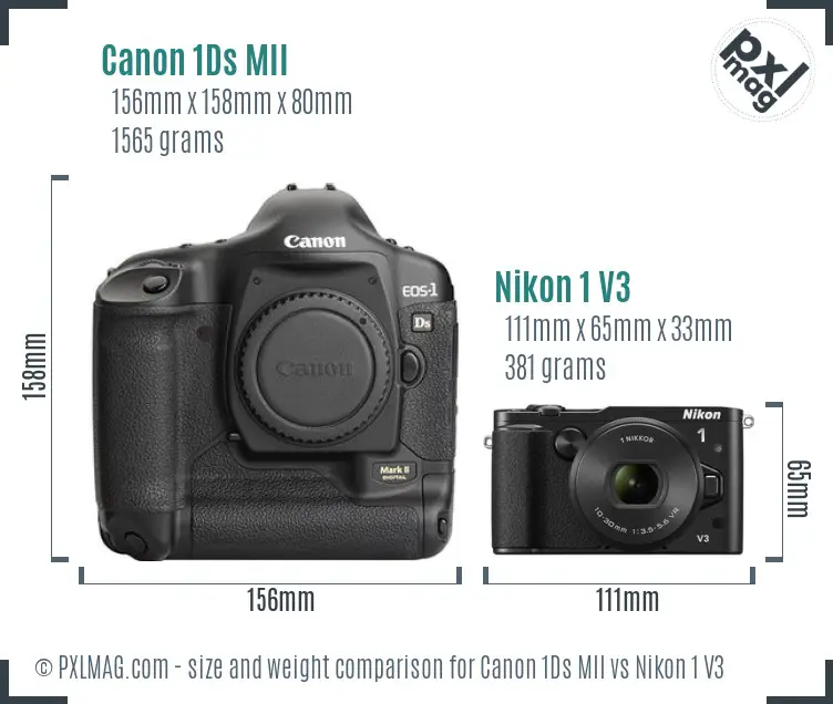 Canon 1Ds MII vs Nikon 1 V3 size comparison