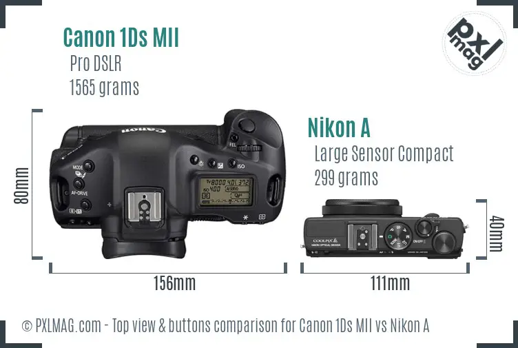 Canon 1Ds MII vs Nikon A top view buttons comparison