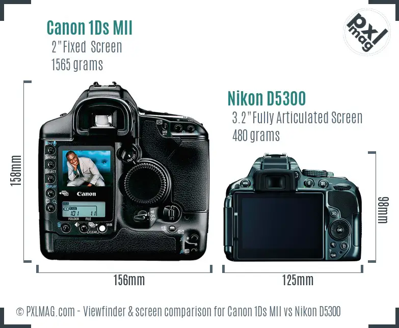 Canon 1Ds MII vs Nikon D5300 Screen and Viewfinder comparison Canon 1Ds MII vs Nikon D5300 Screen and Viewfinder comparison