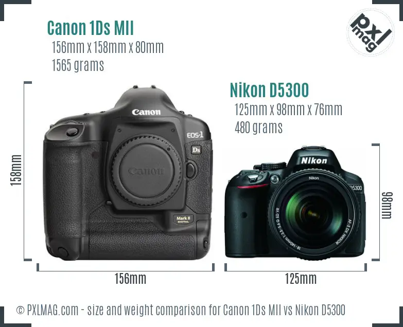 Canon 1Ds MII vs Nikon D5300 size comparison Canon 1Ds MII vs Nikon D5300 size comparison