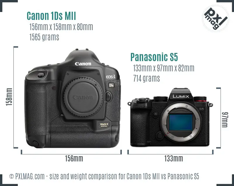 Canon 1Ds MII vs Panasonic S5 size comparison Canon 1Ds MII vs Panasonic S5 size comparison