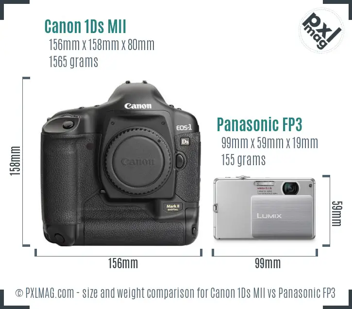 Canon 1Ds MII vs Panasonic FP3 size comparison