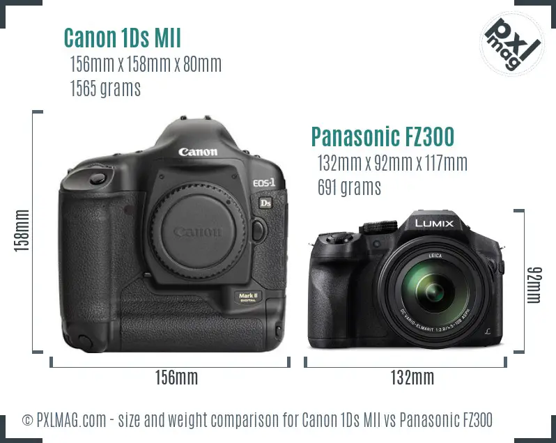 Canon 1Ds MII vs Panasonic FZ300 size comparison Canon 1Ds MII vs Panasonic FZ300 size comparison
