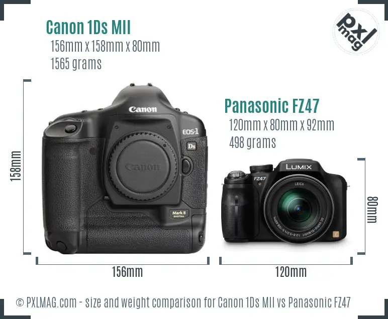 Canon 1Ds MII vs Panasonic FZ47 size comparison