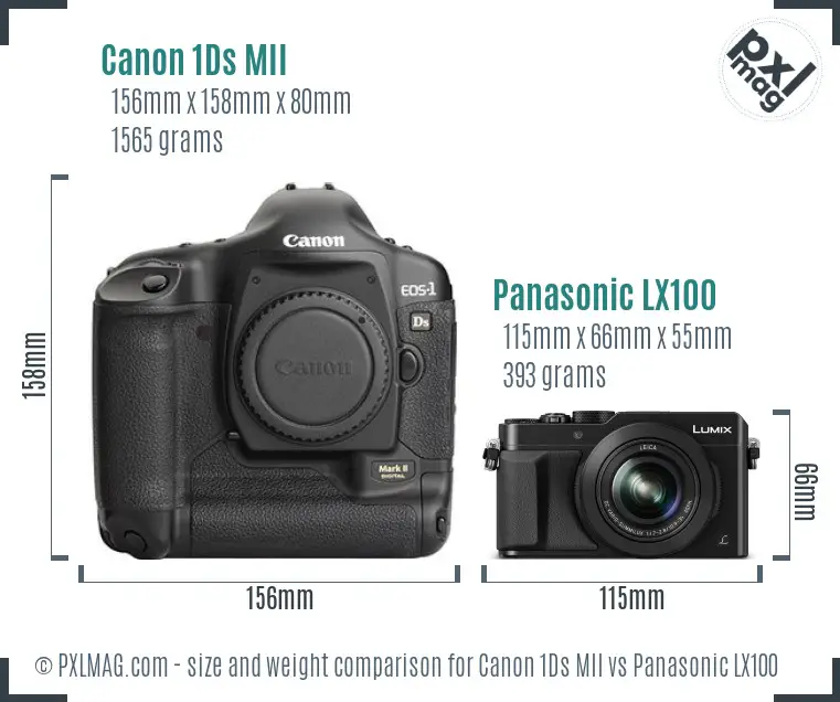 Canon 1Ds MII vs Panasonic LX100 size comparison