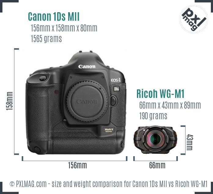 Canon 1Ds MII vs Ricoh WG-M1 size comparison