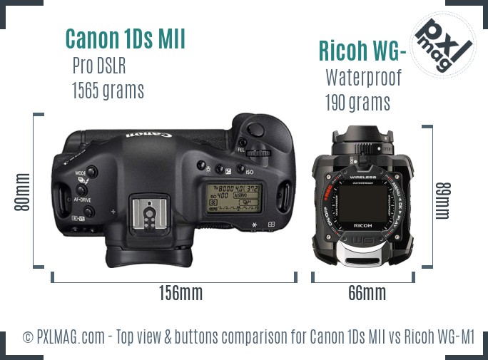 Canon 1Ds MII vs Ricoh WG-M1 top view buttons comparison