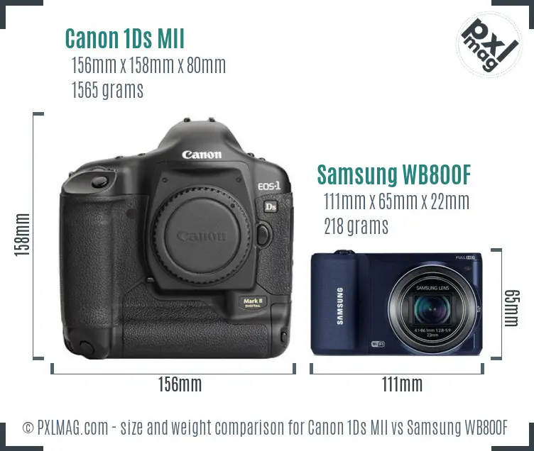 Canon 1Ds MII vs Samsung WB800F size comparison