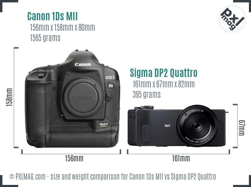 Canon 1Ds MII vs Sigma DP2 Quattro size comparison