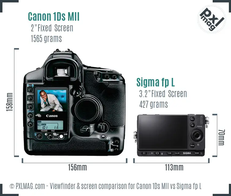 Canon 1Ds MII vs Sigma fp L Screen and Viewfinder comparison Canon 1Ds MII vs Sigma fp L Screen and Viewfinder comparison