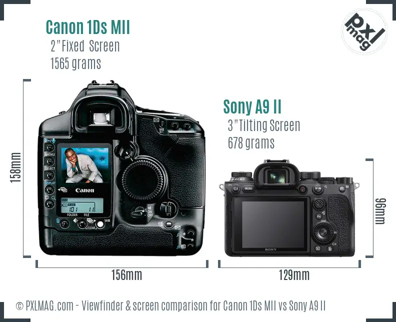 Canon 1Ds MII vs Sony A9 II Screen and Viewfinder comparison