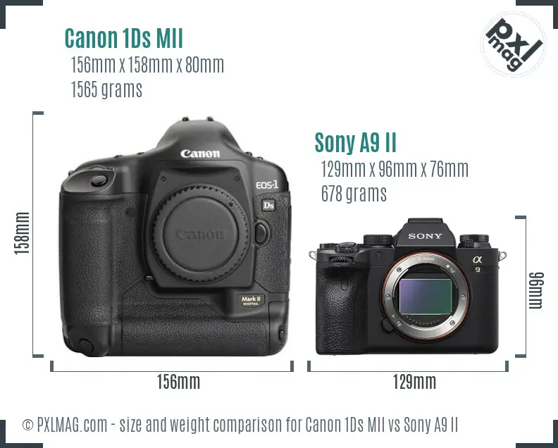 Canon 1Ds MII vs Sony A9 II size comparison