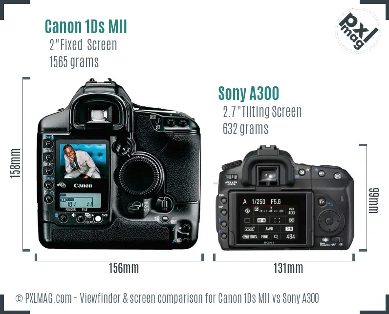 Canon 1Ds MII vs Sony A300 Screen and Viewfinder comparison