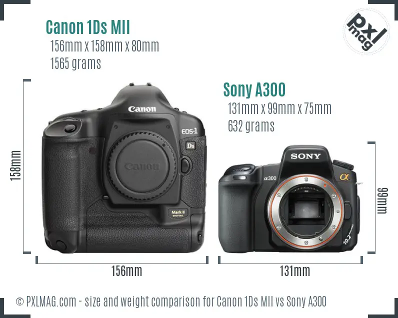 Canon 1Ds MII vs Sony A300 size comparison