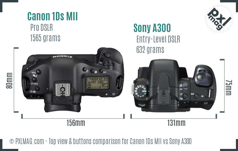 Canon 1Ds MII vs Sony A300 top view buttons comparison