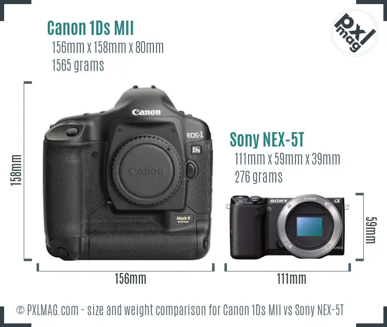 Canon 1Ds MII vs Sony NEX-5T size comparison