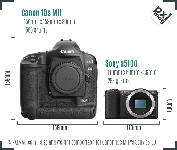 Canon 1Ds MII vs Sony a5100 size comparison