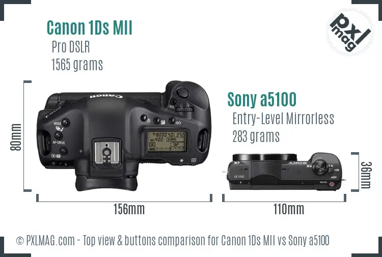 Canon 1Ds MII vs Sony a5100 top view buttons comparison