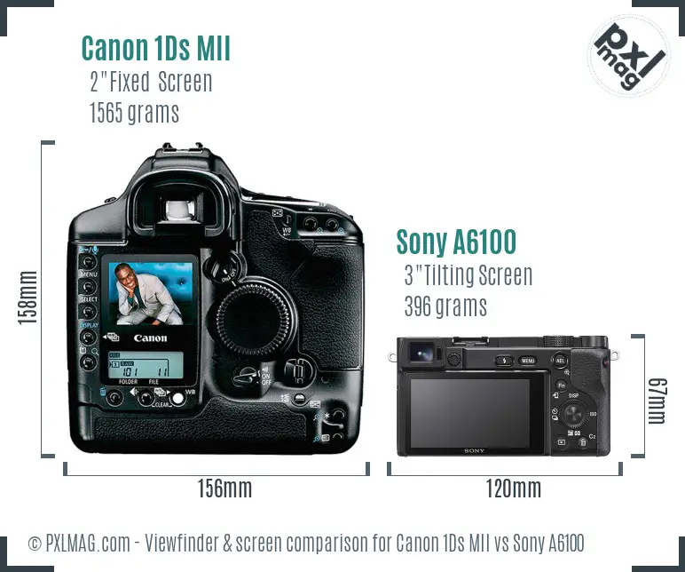 Canon 1Ds MII vs Sony A6100 Screen and Viewfinder comparison Canon 1Ds MII vs Sony A6100 Screen and Viewfinder comparison
