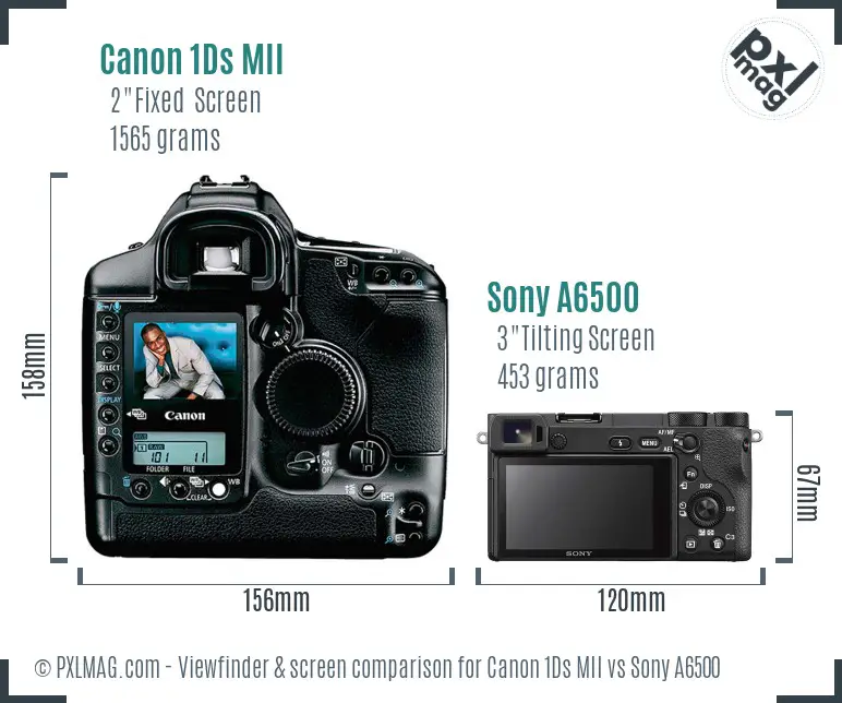 Canon 1Ds MII vs Sony A6500 Screen and Viewfinder comparison