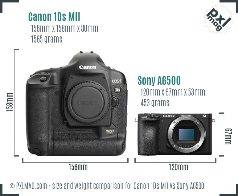 Canon 1Ds MII vs Sony A6500 size comparison