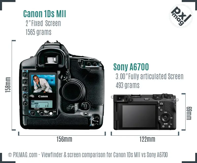 Canon 1Ds MII vs Sony A6700 Screen and Viewfinder comparison