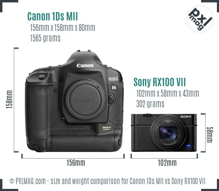 Canon 1Ds MII vs Sony RX100 VII size comparison