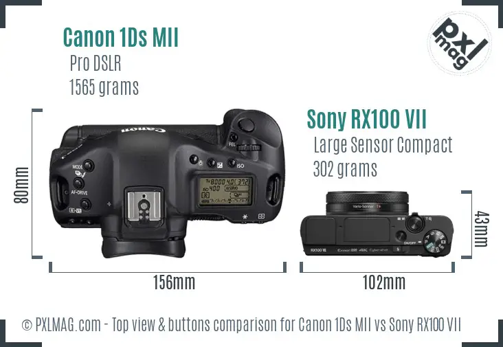 Canon 1Ds MII vs Sony RX100 VII top view buttons comparison