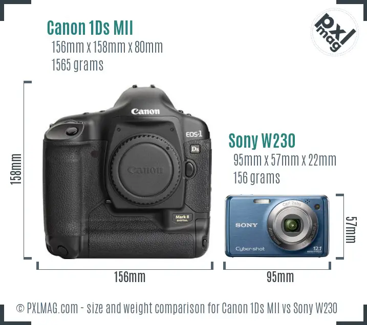 Canon 1Ds MII vs Sony W230 size comparison Canon 1Ds MII vs Sony W230 size comparison