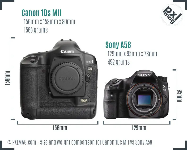 Canon 1Ds MII vs Sony A58 size comparison