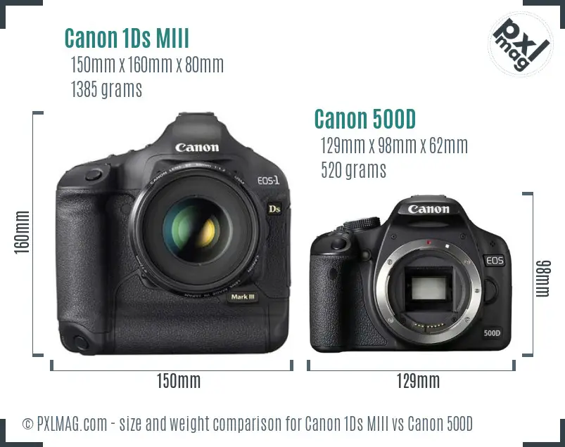 Canon 1Ds MIII vs Canon 500D size comparison Canon 1Ds MIII vs Canon 500D size comparison