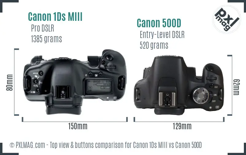 Canon 1Ds MIII vs Canon 500D top view buttons comparison Canon 1Ds MIII vs Canon 500D top view buttons comparison